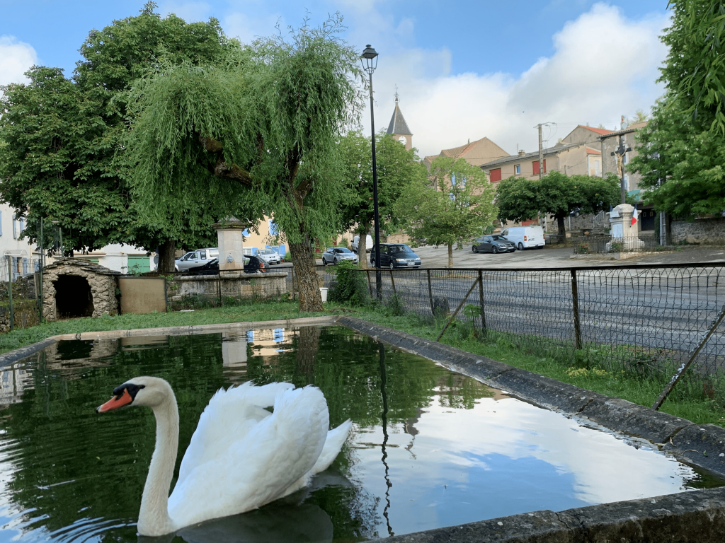 Place du cygne